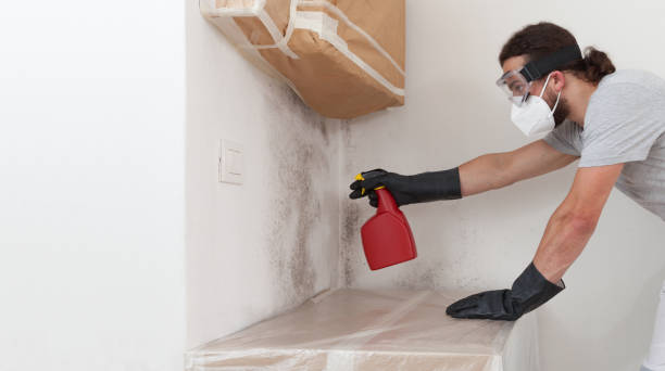 Professional Mold Inspection And Testing technician working in Grass Lake, MI